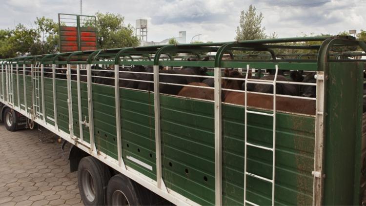 Certificado oficial para poder transportar mercadería Infosudoeste