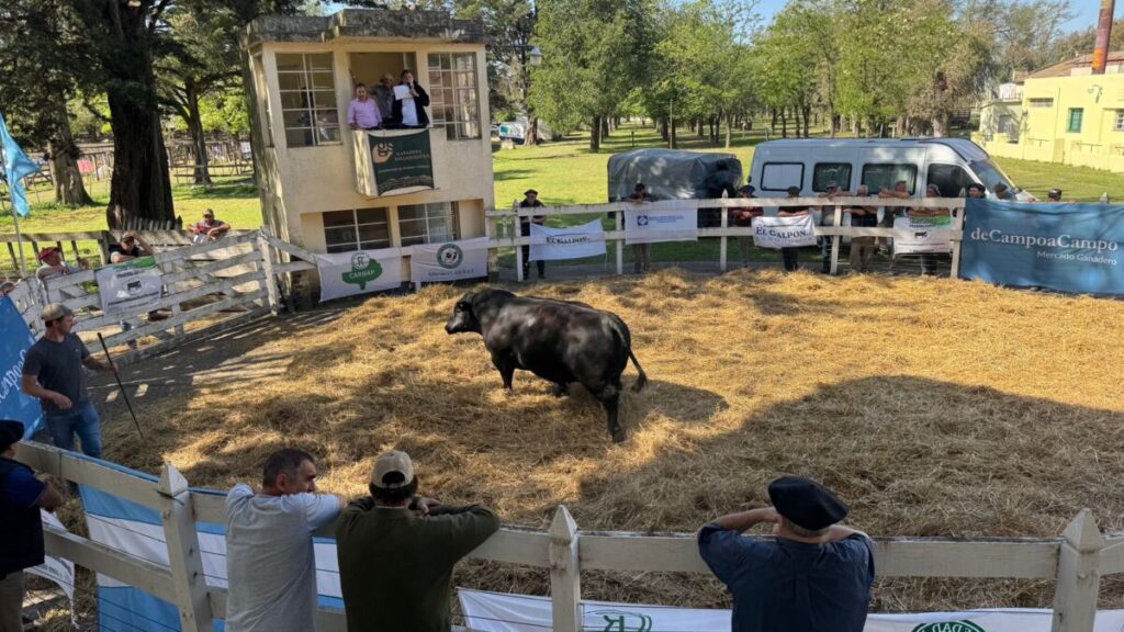 En Pringles la expo rural tuvo sus ventas – Infosudoeste