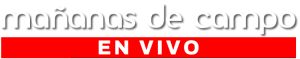 logo_mdc_horario_v3